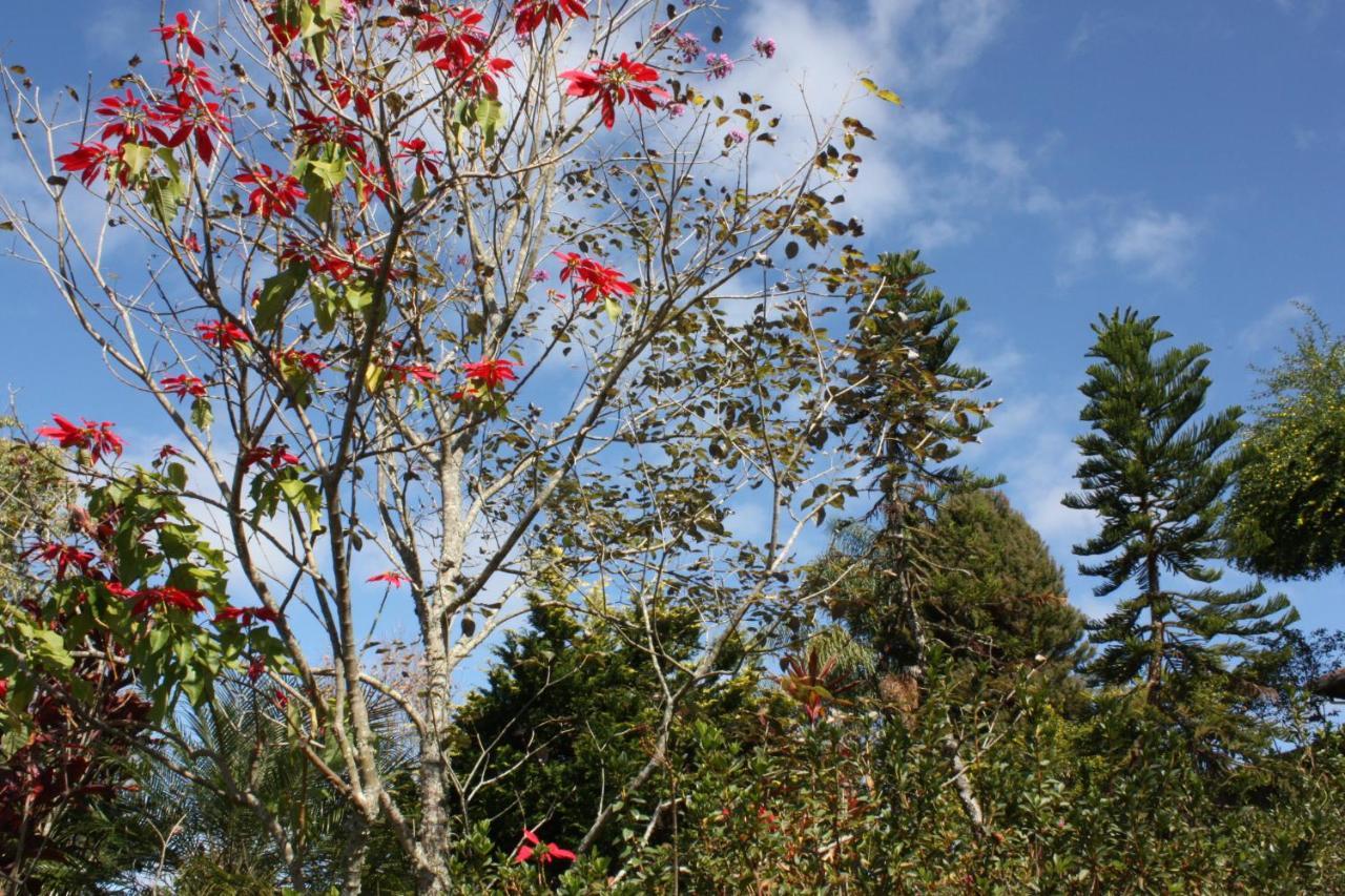 Pousada Campestre Sitio Da Lua Camanducaia Eksteriør billede
